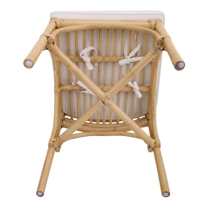 Kara Rattan Dining Side Chair, (Set of 2)