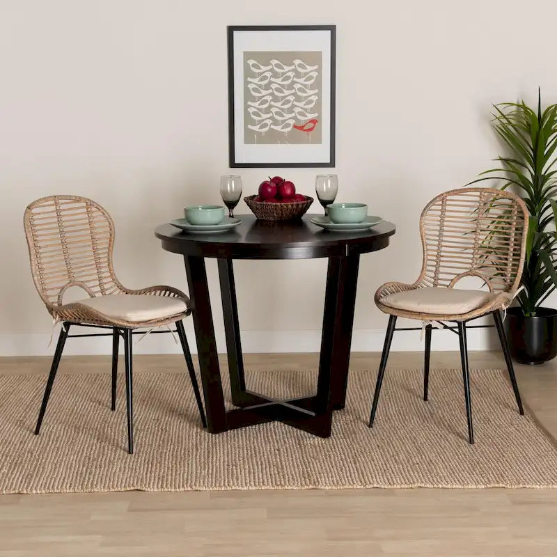 Brenna Modern Bohemian Rattan and Metal 2-Piece Dining Chair Set