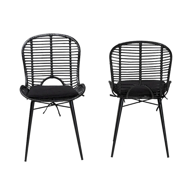 Brenna Modern Bohemian Rattan and Metal 2-Piece Dining Chair Set