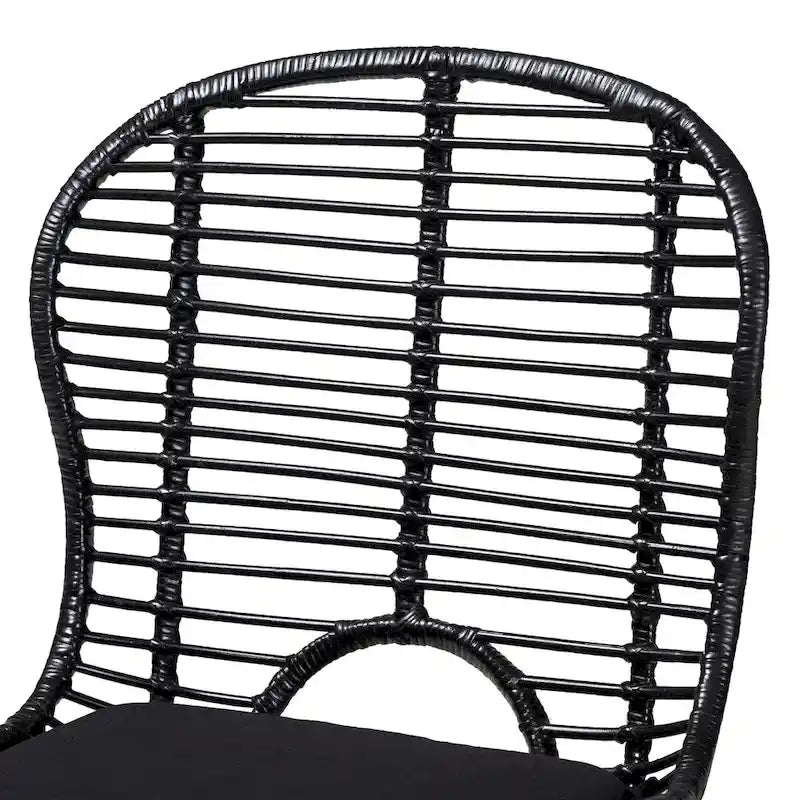 Brenna Modern Bohemian Rattan and Metal 2-Piece Dining Chair Set