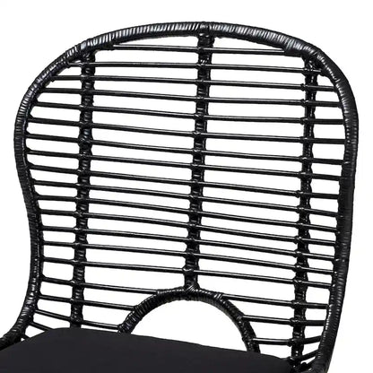 Brenna Modern Bohemian Rattan and Metal 2-Piece Dining Chair Set