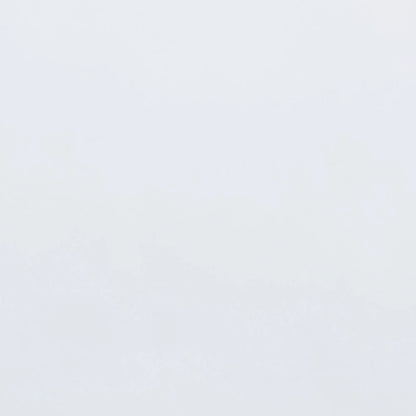 Mariana Classic and Traditional White Finished Wood Platform Bed