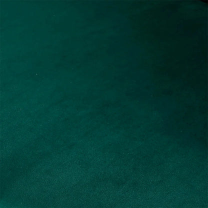 Silky Velvet Upholstered Accent Chair with Gold Tone Finished Base